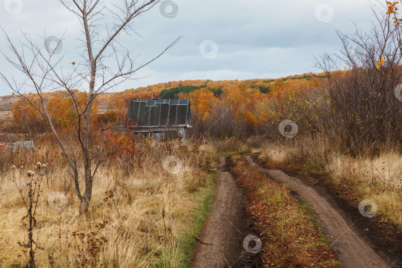 Скачать Осень на Урале фотосток Ozero