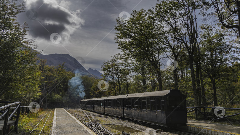 Скачать Старый туристический поезд на исторической узкоколейной железной дороге. фотосток Ozero