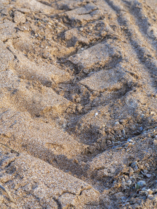 Скачать Фоновая текстура следа от шин на песчаном пляже. Текстура песка на пляже со следами протектора крупным планом. Песчаный текстурированный фон фотосток Ozero