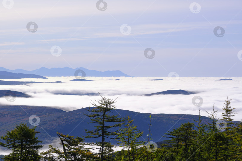 Скачать Туман над морем. фотосток Ozero