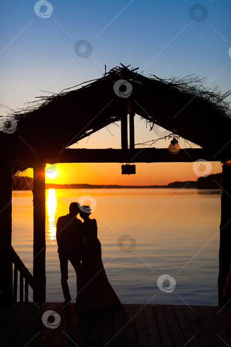 Скачать Жених и невеста любуются закатом на озере. фотосток Ozero