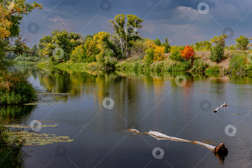 Скачать Осенняя река фотосток Ozero