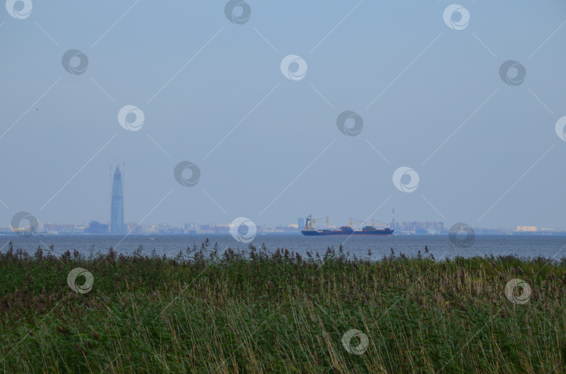 Скачать Вид на Финский залив и панораму города Санкт-Петербург фотосток Ozero