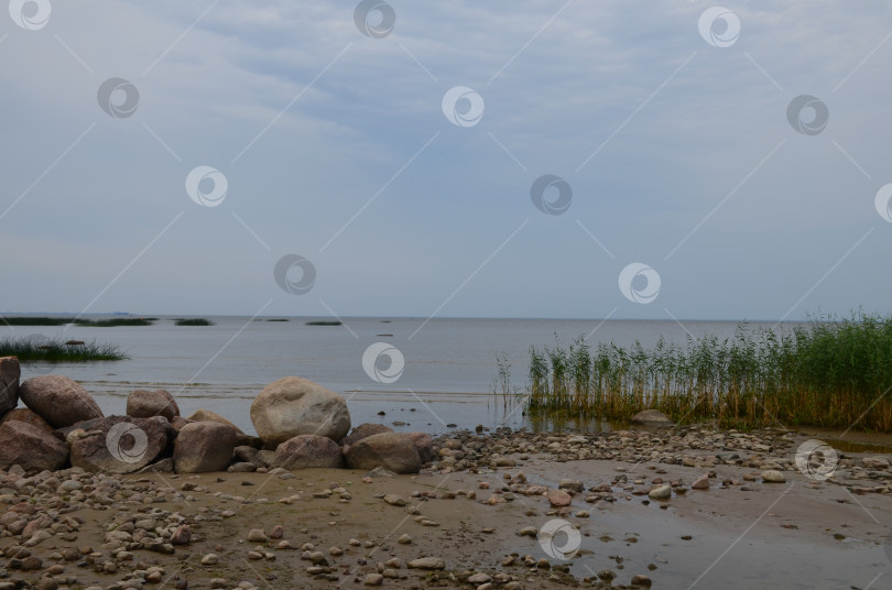 Скачать Вид на Финский залив с песчано-каменистого берега фотосток Ozero