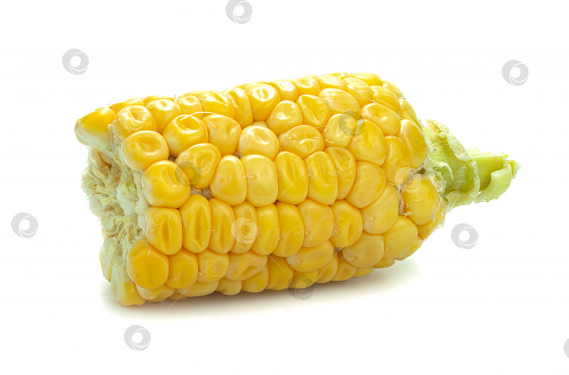 Скачать Желтая кукуруза, выделенная на белом фоне фотосток Ozero