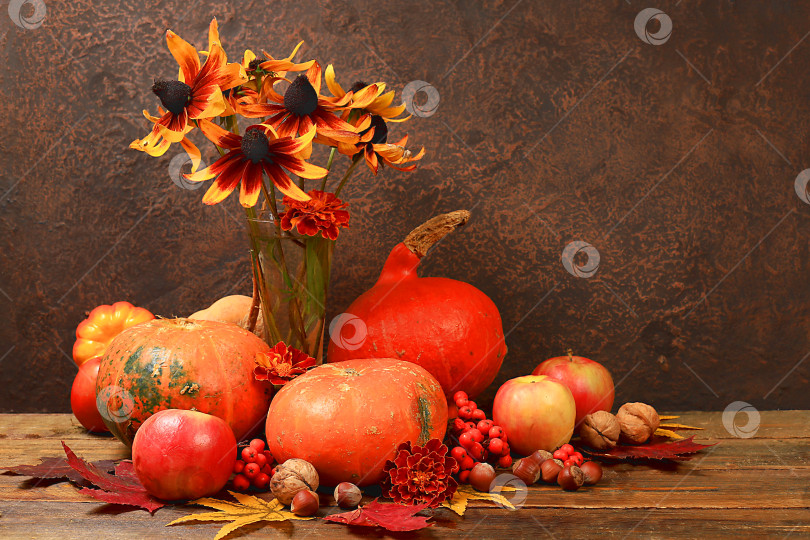 Скачать Осенний натюрморт с яблоками, ягодами рябины, тыквами, цветами подсолнуха на старом деревянном столе, фон, концепция Дня благодарения, деревенский урожай, концепция здоровой натуральной пищи, баннер для экрана, реклама кафе, ресторана, селективный фокус фотосток Ozero