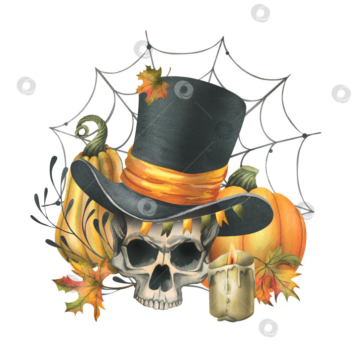 Скачать Человеческий череп в черном цилиндре с оранжевыми тыквами, паутиной, свечами и осенними кленовыми листьями. Нарисованная от руки акварельная иллюстрация к Хэллоуину. Изолированная композиция на белом фоне фотосток Ozero