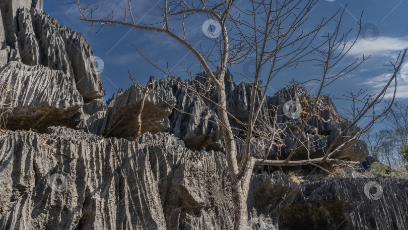 Скачать Уникальные известняковые карстовые скалы на фоне голубого неба. фотосток Ozero