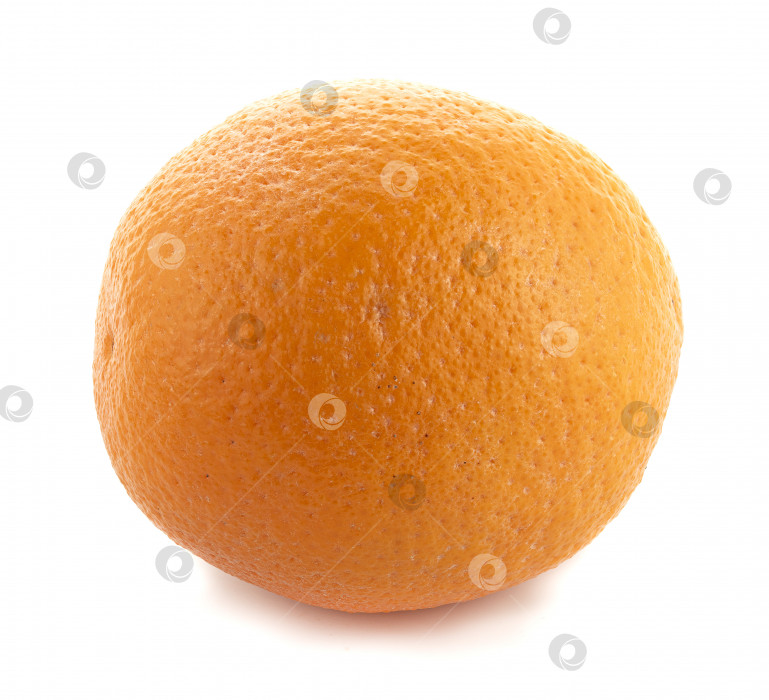 Скачать Один апельсин на белом фоне фотосток Ozero