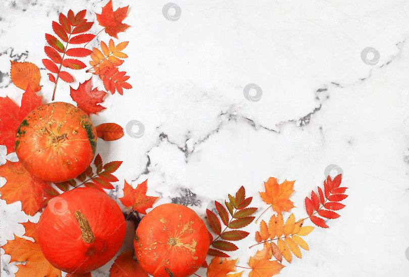 Скачать Осенняя абстрактная композиция с кленовыми листьями, сосновыми шишками, орехами, тыквами и ягодами рябины, натюрморт, концепция Дня благодарения, сезонный фон, баннер или заставка, поздравительная открытка или приглашение, выборочный фокус фотосток Ozero