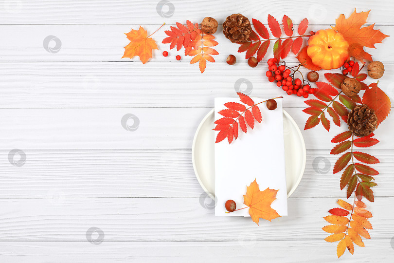 Скачать Осенняя абстрактная композиция с кленовыми листьями, тыквами и ягодами рябины, натюрморт, пустая белая карточка на тарелке для оформления меню, концепция Дня благодарения, сезонный фон, баннер или заставка, выборочный фокус фотосток Ozero
