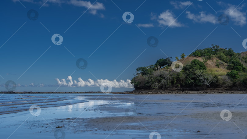 Скачать Во время океанского отлива на песке оставались лужицы воды. фотосток Ozero