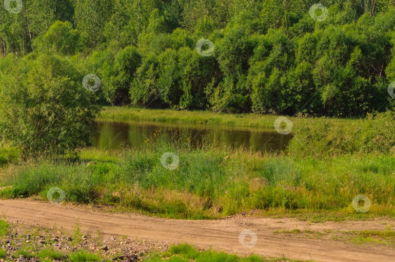 Скачать Летний пейзаж с рекой, лесом и лугом на переднем плане. фотосток Ozero