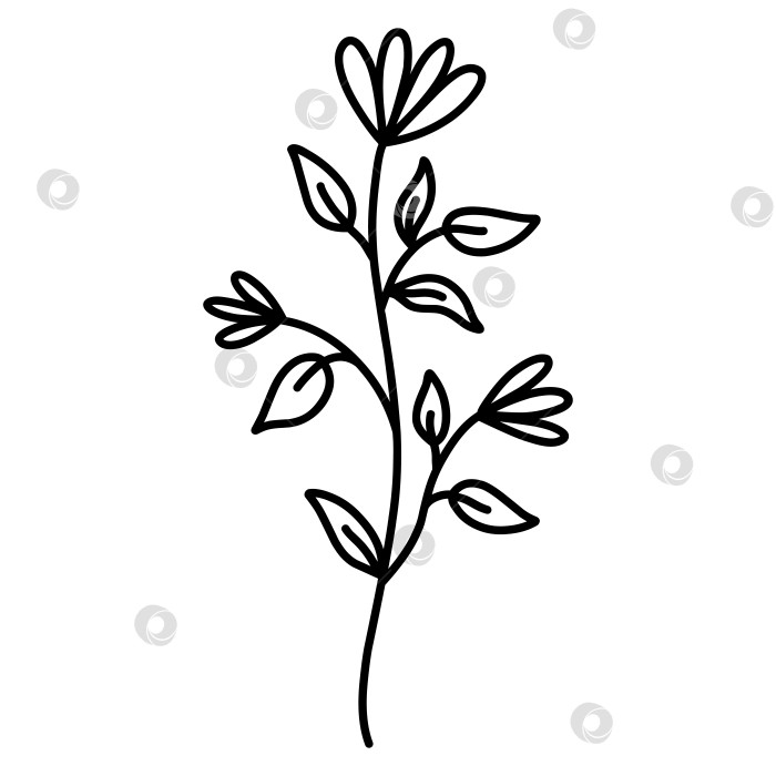 Скачать Симпатичная ветка с цветами и листьями фотосток Ozero