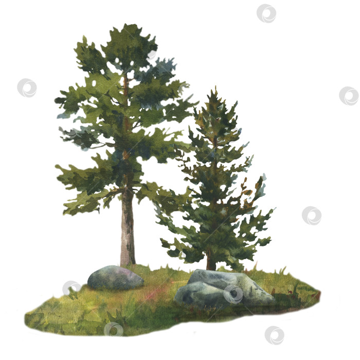Скачать Лесной пейзаж со скалами и деревьями. Нарисованная от руки акварельная иллюстрация, изолированная на белом фоне. фотосток Ozero