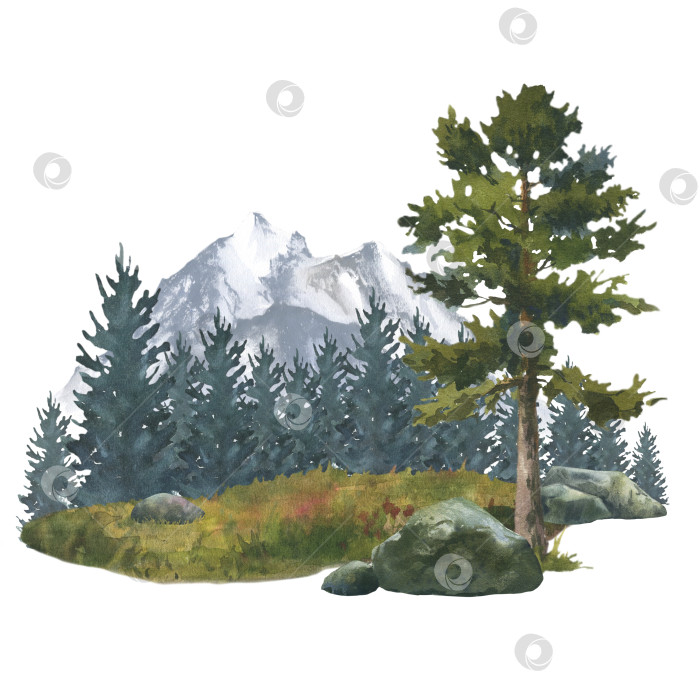 Скачать Лесной пейзаж с горами, скалами и деревьями. Нарисованная от руки акварельная иллюстрация, изолированная на белом фоне фотосток Ozero