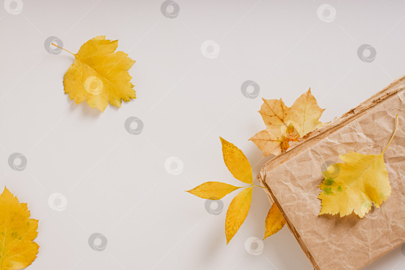 Скачать Уютная осень, чтение старой книги и желтые листья, вид сверху фотосток Ozero