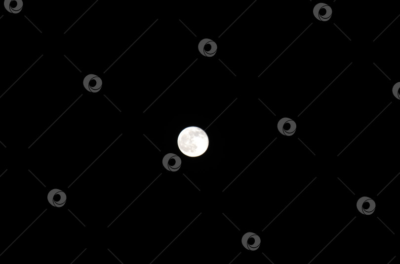 Скачать Полная белая луна на фоне чёрного ночного неба. фотосток Ozero