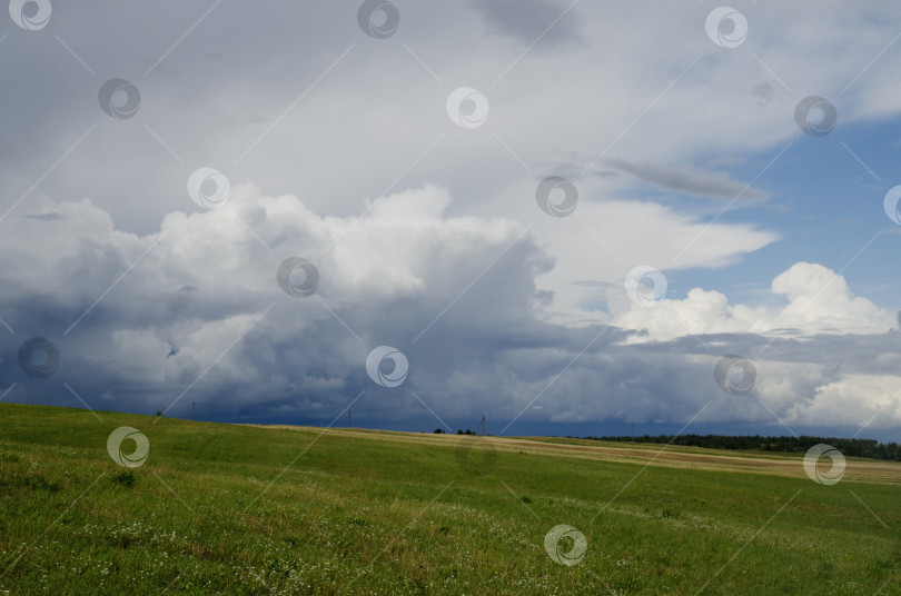 Скачать Красивый летний пейзаж. Ожидание дождя. Зелёное поле, небо, тучи и облака. фотосток Ozero