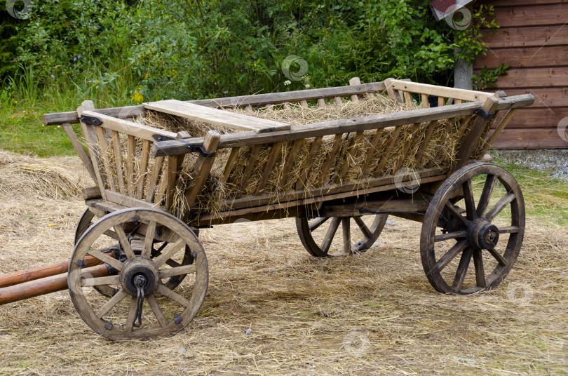 Скачать Старая деревянная тележка с четырьмя колесами на соломе на фоне зеленого леса. фотосток Ozero
