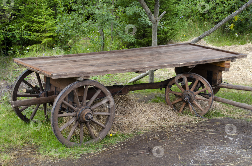 Скачать Старая деревянная тележка с четырьмя колесами на соломе на фоне зеленого леса. фотосток Ozero