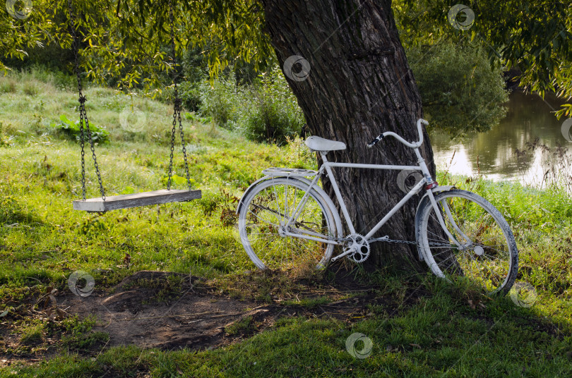 Скачать Старый белый велосипед и цепные качели. Отдохните под деревом в летнем парке. фотосток Ozero