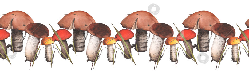 Скачать Белые грибы. Бесшовная горизонтальная кайма из съедобных грибов. Акварельная иллюстрация. Для фонового дизайна, упаковки, текстиля фотосток Ozero
