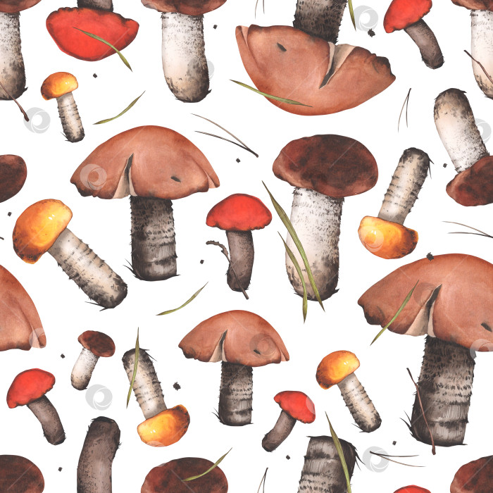Скачать Бесшовный узор из съедобных грибов с веточками и травой. Белые грибы. Акварельная иллюстрация. Для дизайна: оберточная бумага, обои, фон, обложка фотосток Ozero