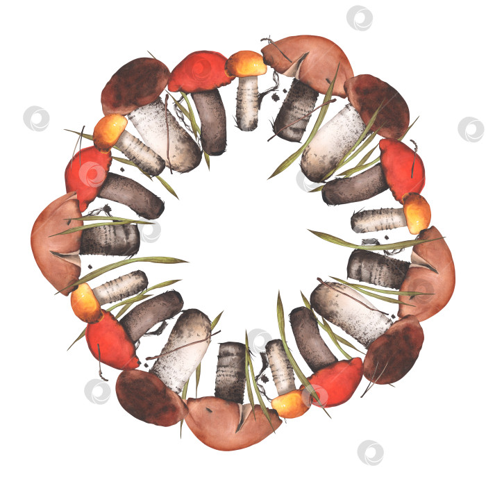 Скачать Грибы укладываются по кругу. Белые грибы с ветками и сухой травой. Вид сверху. Акварельная иллюстрация. фотосток Ozero