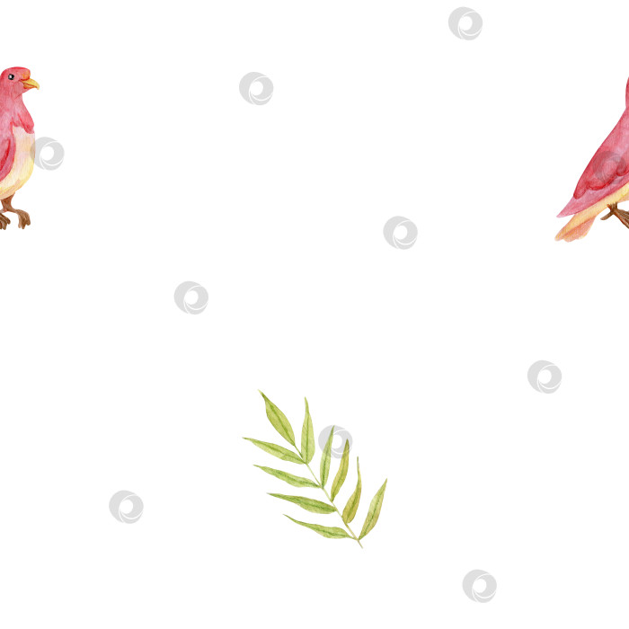 Скачать Бесшовный цветочный узор с птицами и зелеными ветками. Узор из голубей и веточек. Цветочная розовая иллюстрация с голубями для обоев, текстиля фотосток Ozero