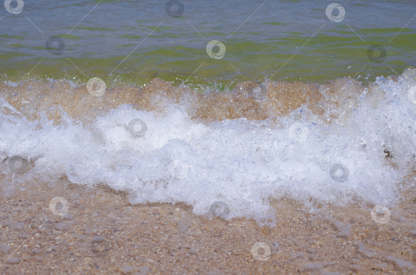 Скачать Волна на песчаном морском пляже. Красивый летний фон. фотосток Ozero