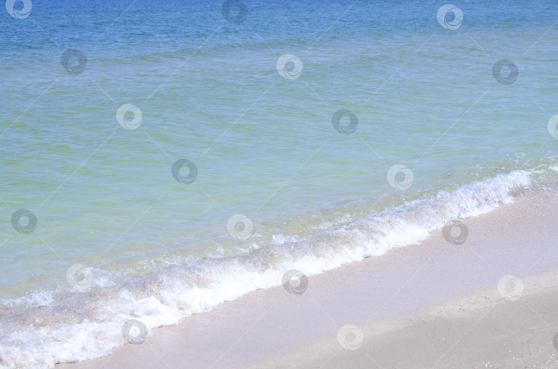 Скачать Песчаный берег моря с голубой водой. Красивый летний фон. Море, океан, берег, вода. фотосток Ozero
