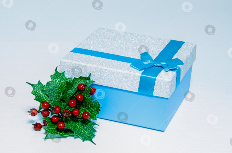 Скачать Красивая синяя подарочная коробка с бантом и зеленой веточкой с красными ягодами. Сюрприз, подарок, внимание. Изолированный объект на белом фоне. фотосток Ozero