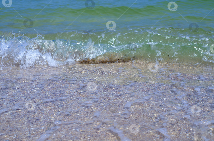 Скачать волна на песчаном морском пляже. Красивый летний фон. фотосток Ozero