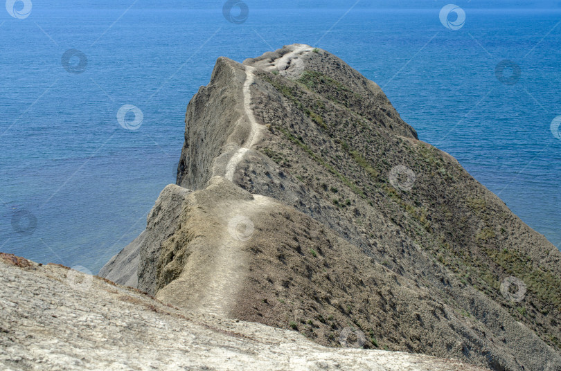 Скачать Вид на мыс Хамелеон и море в Коктебеле, Крым. Красивый летний фон. Дизайн фотообоев, обложек, скринсейверов. фотосток Ozero