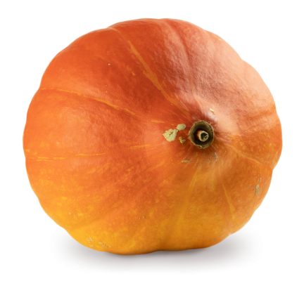 [object Object] undefined