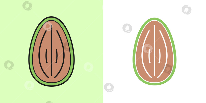Скачать Линейный значок миндального ореха, векторный значок контура, линейный значок, две версии в цвете фотосток Ozero