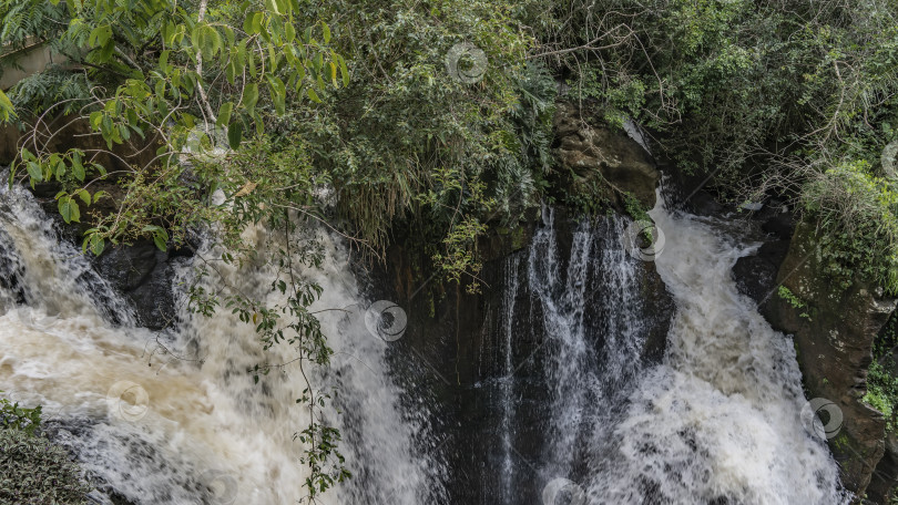 Скачать Бурлящие потоки воды стекают со скал среди пышной зеленой растительности. фотосток Ozero