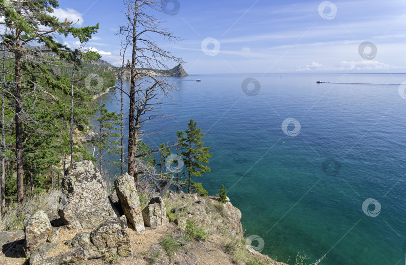 Скачать Сосны на крутом берегу. Озеро Байкал. фотосток Ozero