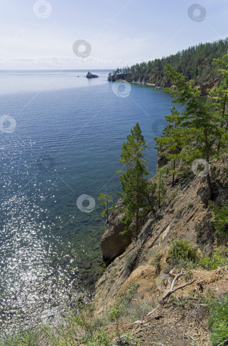 Скачать Высокий скалистый берег, покрытый хвойным лесом. Озеро Байкал. фотосток Ozero