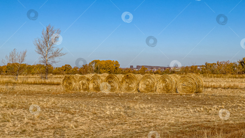 Скачать Стога в поле фотосток Ozero