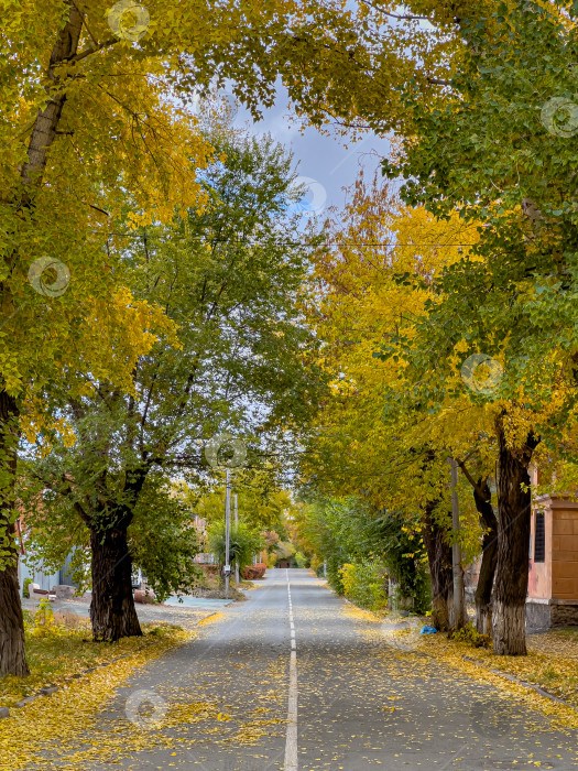 Скачать Осенная улица в городе фотосток Ozero