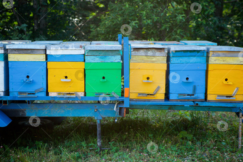 Скачать Ульи для пчел. Садоводство и производство натуральных продуктов питания. фотосток Ozero