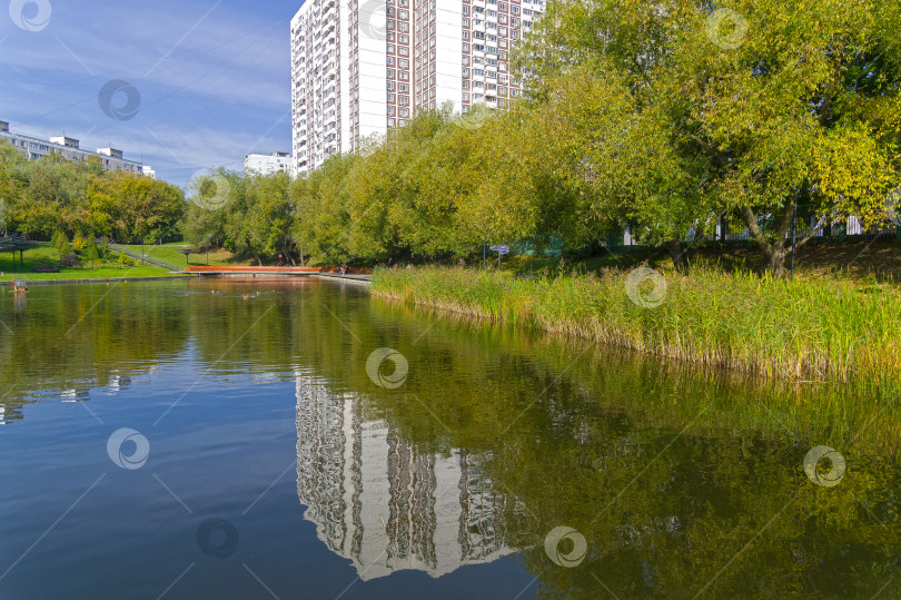 Скачать Городской пруд. Москва. фотосток Ozero