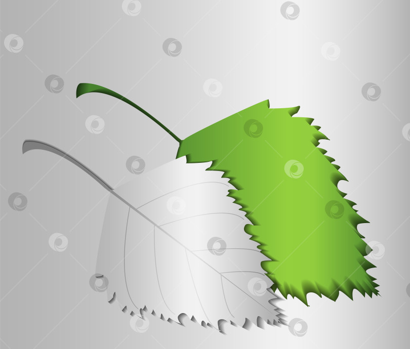 Скачать Экологически чистый зеленый логотип на белом фоне с зелеными листьями в стиле вырезки из бумаги. Концепция зеленой экологии, чистой экологии, экологичности продуктов, eco friendly фотосток Ozero