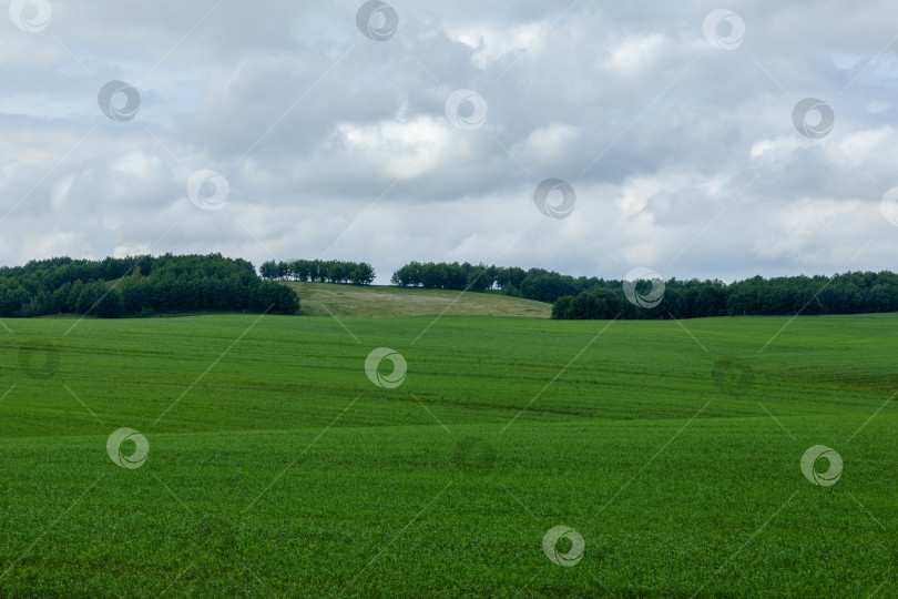 Скачать Холм на зеленом поле фотосток Ozero