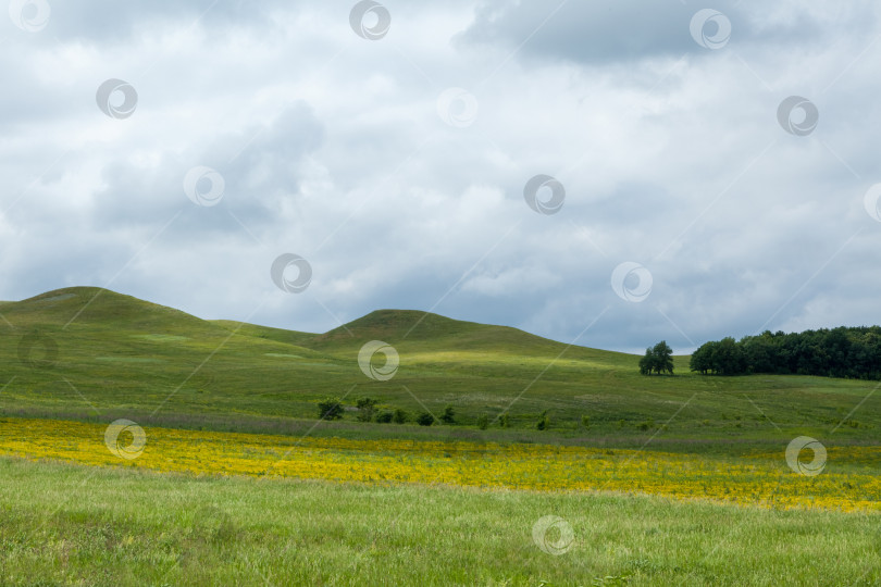 Скачать Зеленые холмы фотосток Ozero