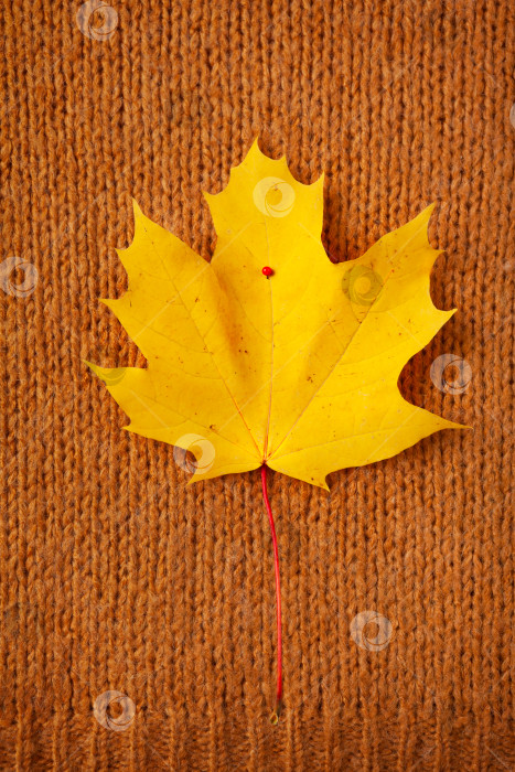 Скачать Желтый кленовый лист приколот красной булавкой к коричневому толстому свитеру. фотосток Ozero