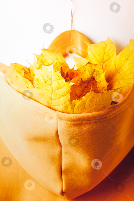 Скачать осеннее настроение - осенние желтые кленовые листья в желтой толстовке с капюшоном на вешалке фотосток Ozero