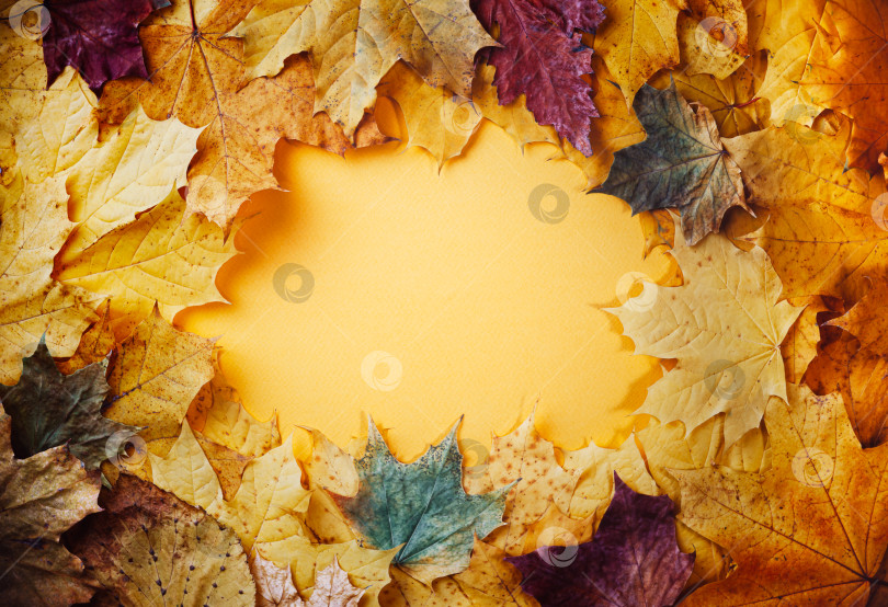 Скачать фон из осенних листьев фотосток Ozero